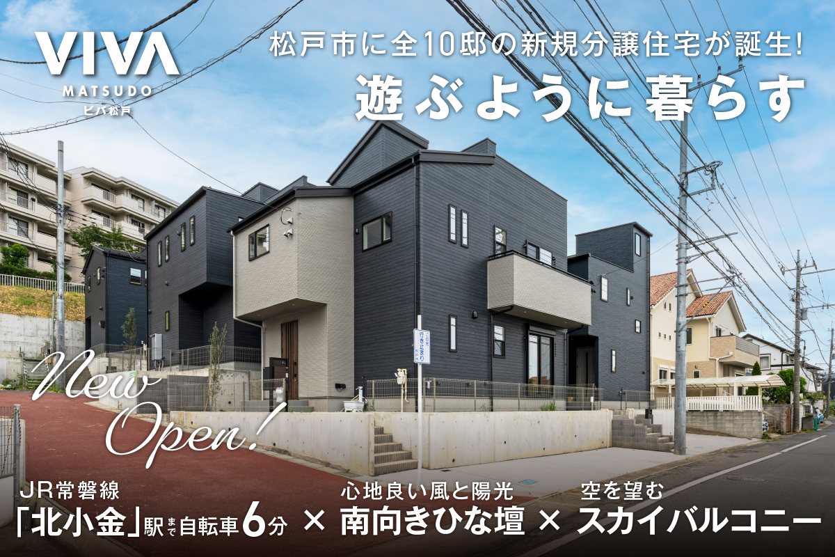 松戸市根木内字新宿下132番（10区画-1）