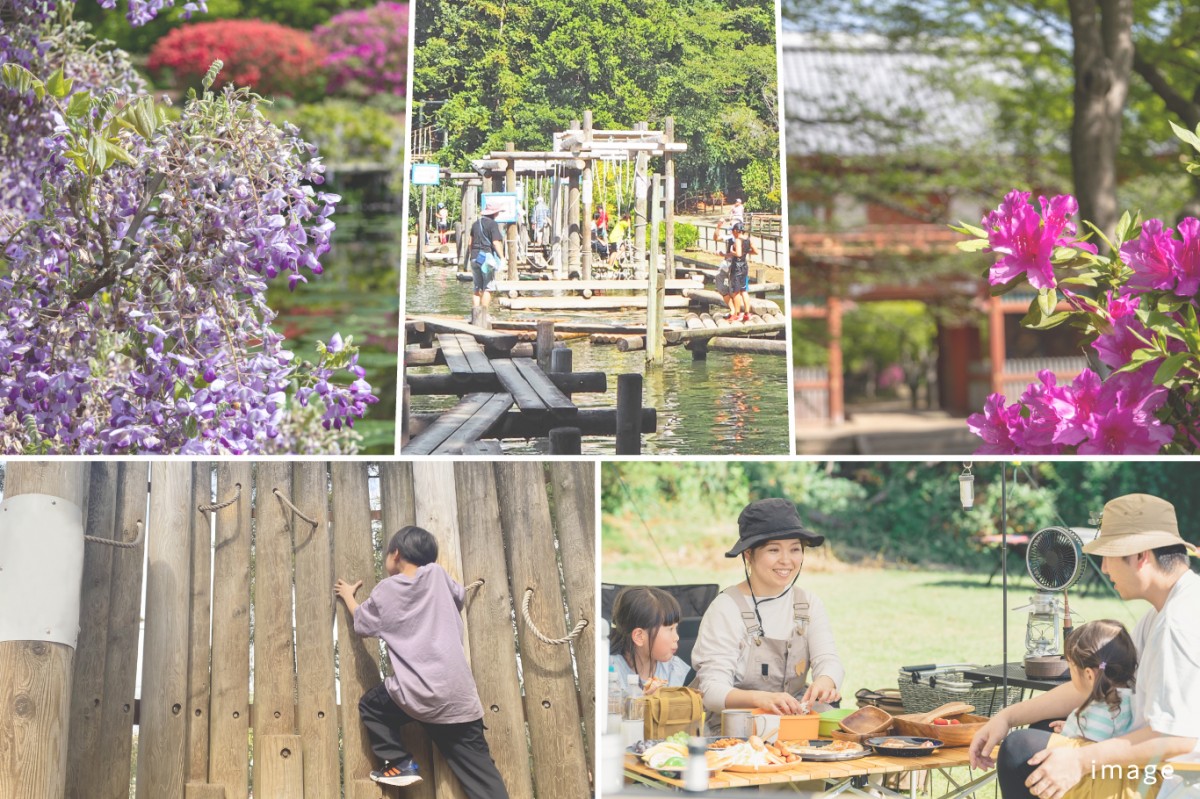 1大きな公園_フレスティア野田清水