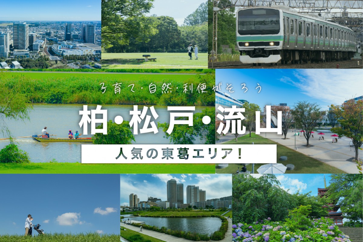 【柏・松戸・流山エリア】特集開催中！